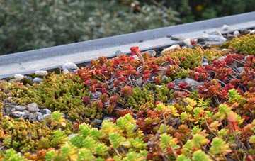 the cost of Aston Botterell green roof installation