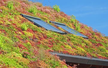 Aston Botterell living roof systems
